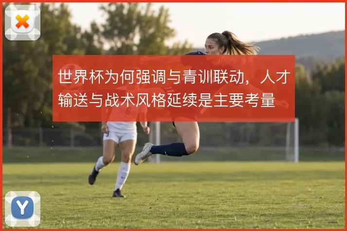 世界杯为何强调与青训联动,人才输送与战术风格延续是主要考量