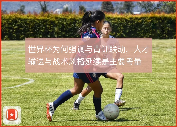 世界杯为何强调与青训联动，人才输送与战术风格延续是主要考量